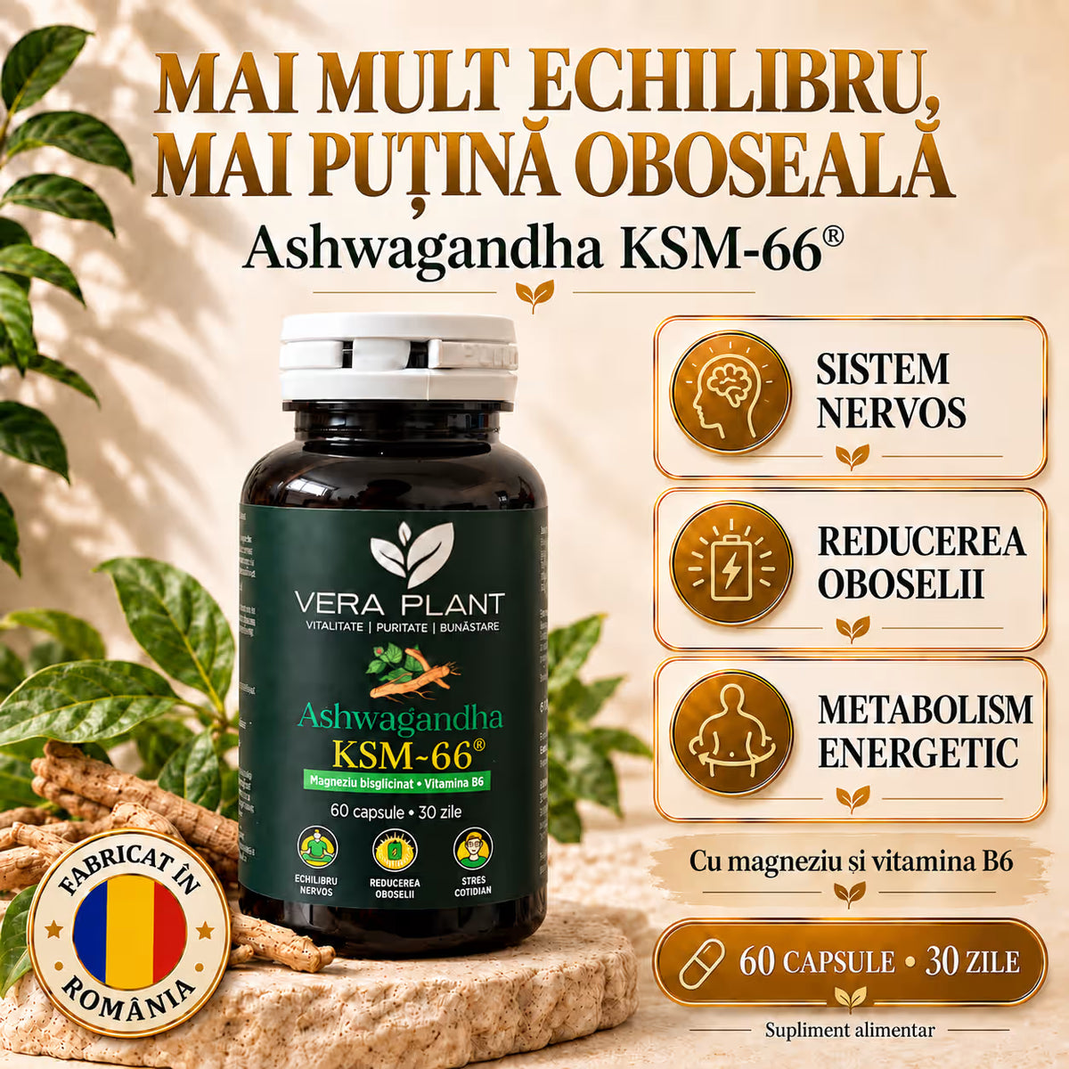 Ashwagandha KSM-66 60 Capsule