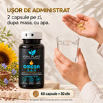 Omega 3-6-9 60 Capsule