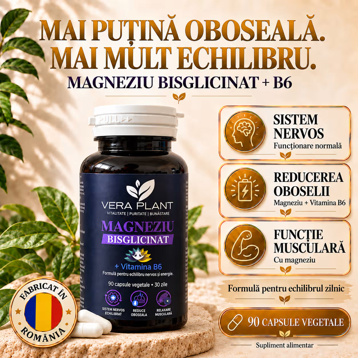 Magneziu Bisglicinat + Vitamina B6 90 Capsule