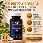 Magneziu Bisglicinat + Vitamina B6 90 Capsule