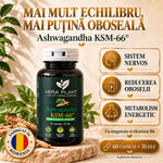 Ashwagandha KSM-66 60 Capsule