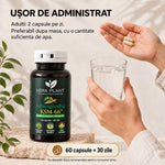 Ashwagandha KSM-66 60 Capsule