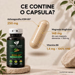 Ashwagandha KSM-66 60 Capsule